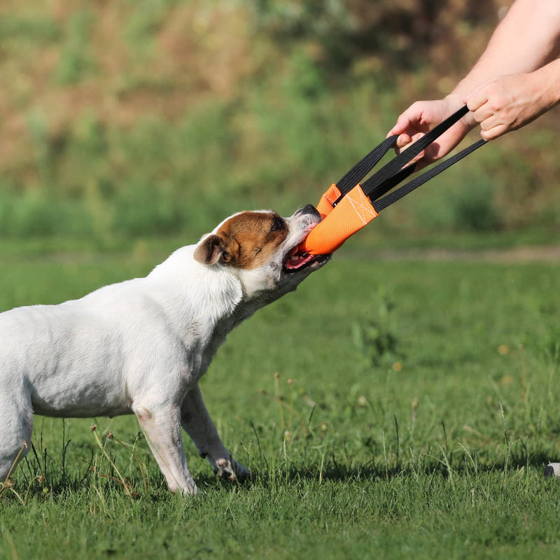Bungee Dog Bite Tug Toy with 2 Strong Handles - Made of Durable & Tear-Resistant Fire Hose - Perfect for Tug of War, Fetch & Puppy K9 Training - Ideal Pull Toy for Medium to Large Dogs Orange - BeesActive Australia