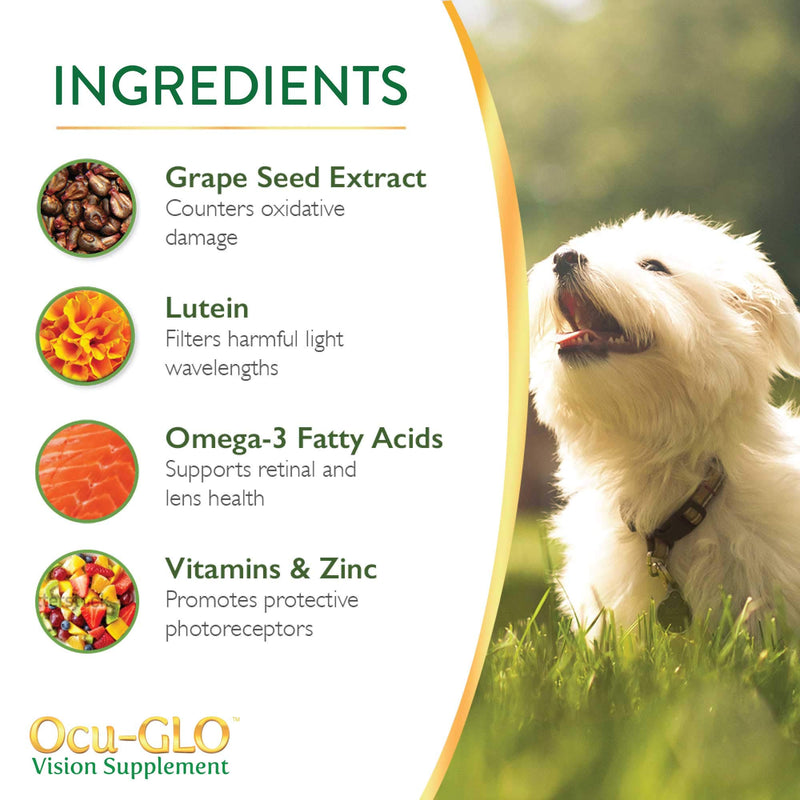 Ocu-GLO Cat & Dog Senior Supplement for Eye Support - Soft Chews Vision Vitamins Supplements for Large and Small Pets Care with Lutein, Omega-3 Fatty Acids, Grape Seed Extract & Antioxidants 30 Chews (Pack of 1) - BeesActive Australia