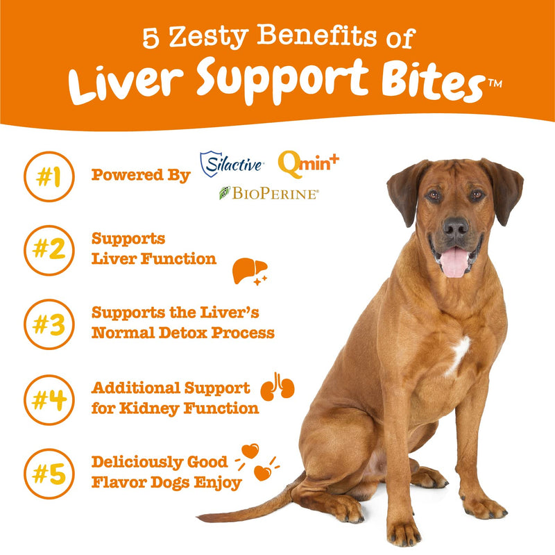 Zesty Paws Liver Support Supplement for Dogs - with Milk Thistle Extract, Turmeric Curcumin, Cranberry & Choline - Natural & Grain Free Soft Chew Formula - for Dog Liver Function & Detox Chicken 90 Count - BeesActive Australia