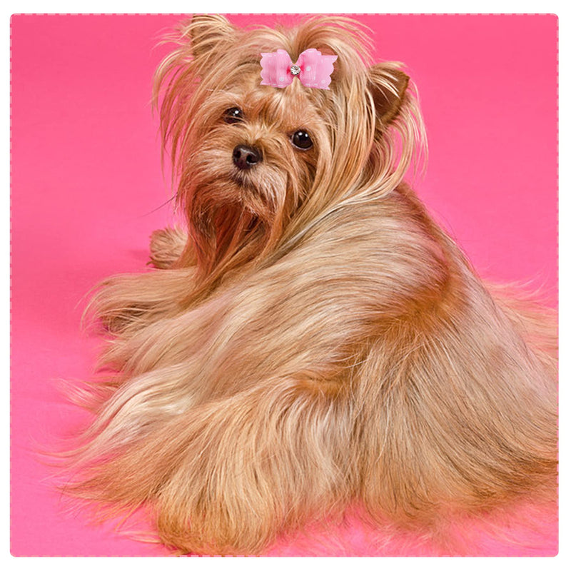 PET SHOW 20pcs Small Dog Hair Bows with Rubber Bands Puppies Doggies Cats Topknot Bowknot Matching Hair Grooming Accessories for Boy Girl Pomeranian Yorkie Poodle Maltese Shih Tzu Groomer Pink - BeesActive Australia