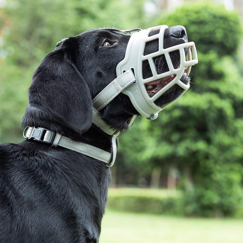 Dog Muzzle, Soft Silicone Basket Muzzle for Dogs, Allows Panting and Drinking, Prevents Unwanted Barking Biting and Chewing, Included Collar and Training Guide 3 (Snout 9¾-11") Grey - BeesActive Australia