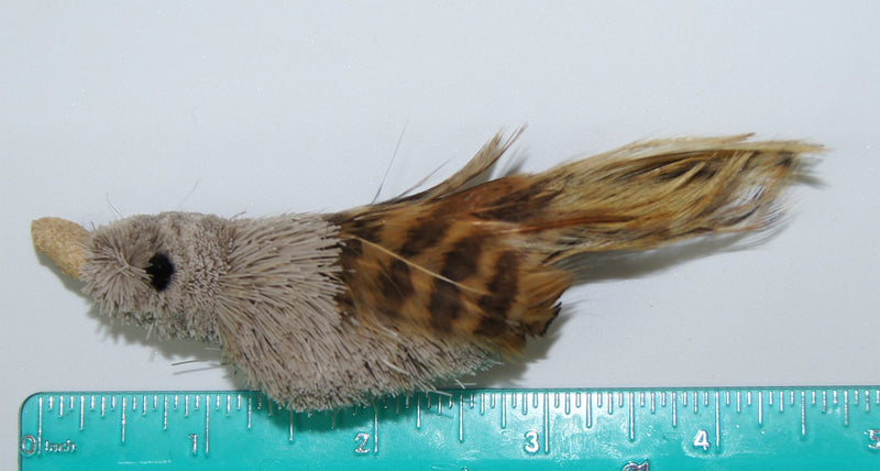 Fun Bird/Bat/Bugs Refill/Attachment - Fits Wildcat and Popular Bird and Mouse Type Wands/Poles House Finch - BeesActive Australia