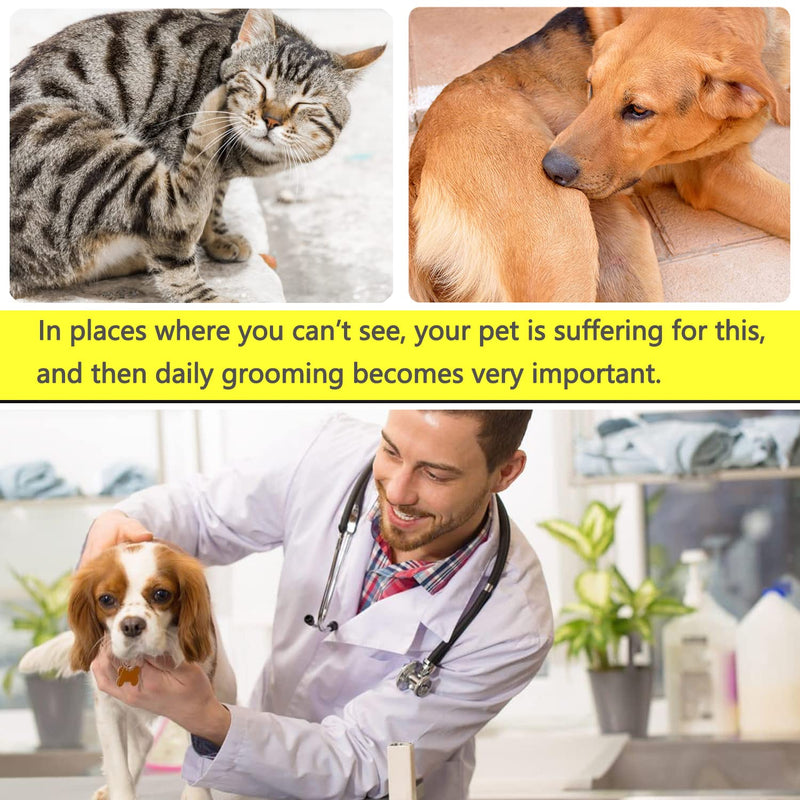 Lice Comb Flea Comb For Cats Dog Comb Pet Comb Set Metal Fine Tooth Comb Remove Tear Marks Float Hair Dandruff (C) C - BeesActive Australia