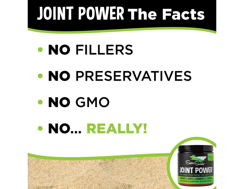 Super Snouts Joint Power 100% Green Lipped Mussels for Dogs & Cats - Dog Joint Supplement Powder Supports Joints, Tendons, Ligaments 5.29 oz (Pack of 1) - BeesActive Australia
