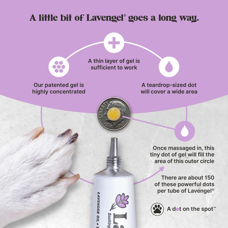 Lavengel Dog Skin Care Gel - Highly Concentrated Antimicrobial Ointment Relieves Itchy Skin and Heals Wounds Naturally, First-Aid for Skin Irritations, Hotspots, Sores, and Acne, We Support Rescues - BeesActive Australia