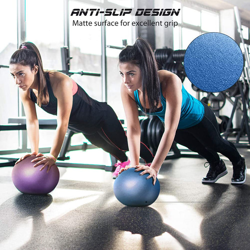 9 Inch Exercise Pilates Ball Mini Exercise Barre Ball for Yoga,Stability Exercise Training Gym Anti Burst and Slip Resistant Balls Physical Therapy Improves Balance, Core Strength, Back Pain Posture Purple - BeesActive Australia