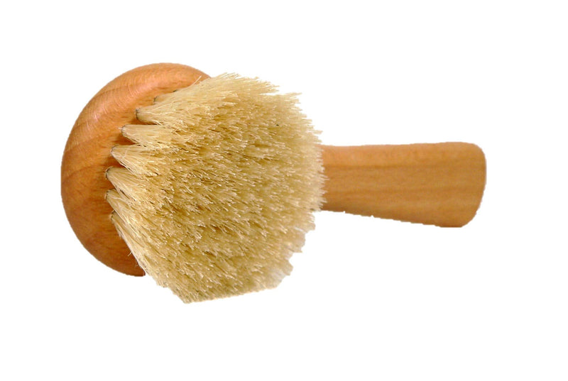 Valentino Garemi Mushroom Cleaning Brush – Kitchen Sink Utensil Restaurant House Use – Made in Germany - BeesActive Australia
