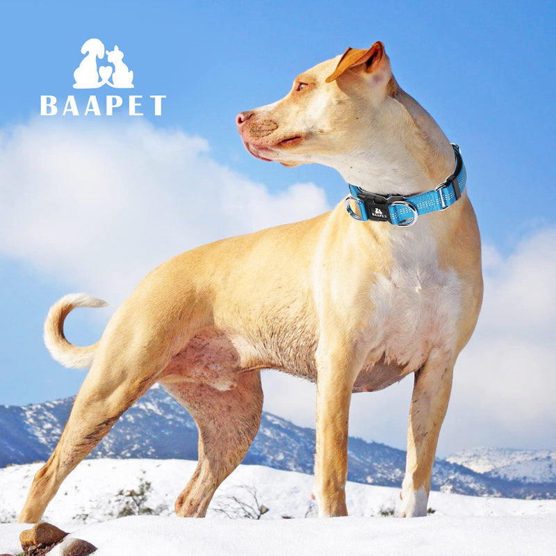 BAAPET Comfortable Dog Collar with Double Security Dual D-Ring and ID Tag Hanger for Small Puppy, Medium and Large Dogs M - 1.0" x (14"-20") Blue - BeesActive Australia