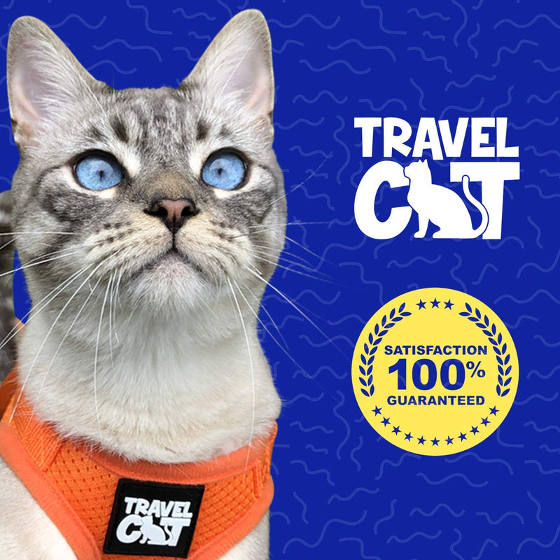 Travel Cat: The True Adventurer - Reflective Cat and Kitten Harness and Leash Set for Walking - Lightweight, Breathable, Snug Fit - Strong Leash with Sturdy Snap Clip Small Grey - BeesActive Australia