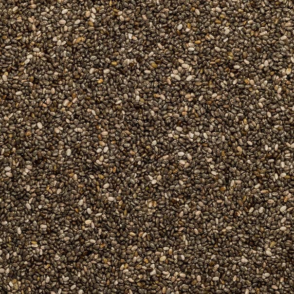 Wholefood Earth - Chia Seeds 500 g | GMO Free | Natural | Vegan | High Fibre | High Protein Single - BeesActive Australia