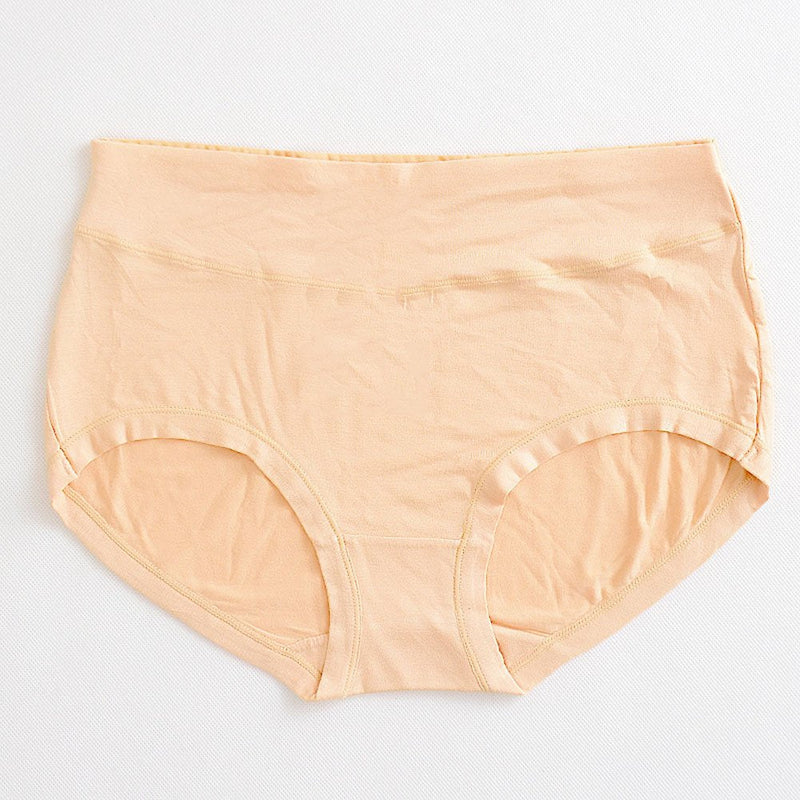 Warm Sun Women's Bamboo Viscose Fiber Multi Pack Plus Size Stretchy Soft Breathable High Middle Waist Panties Size S-3XL 6 Skin - BeesActive Australia