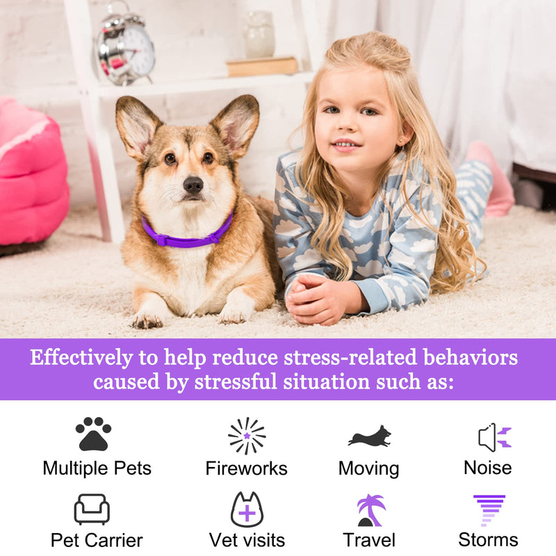Pets vv Calming Collar for Dogs 3 Packs Pheromone Collar Calm Anxiety Relief, Adjustable Dog Calming Collars for Dog and Puppy Lasts 60 Days, 25 Inches blue - BeesActive Australia