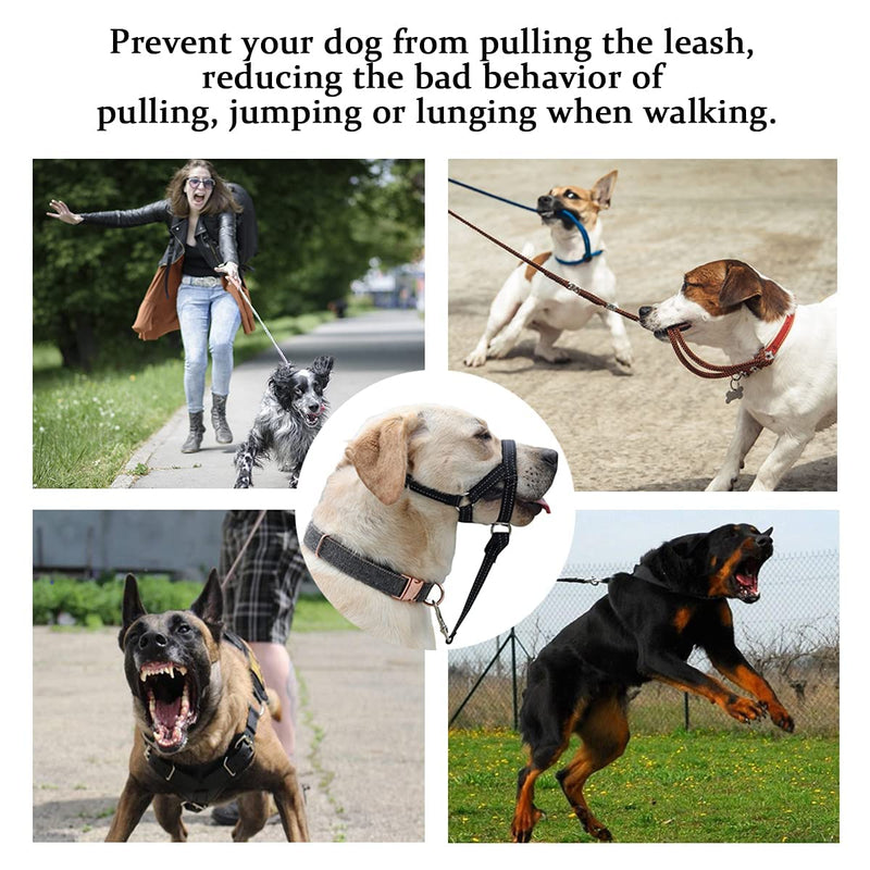 Dog Head Collar, No Pull Head Halter with Soft Padding, Durable Headcollar for Medium Large Dogs, Free Training Guide Included Red Pad/ Black - BeesActive Australia