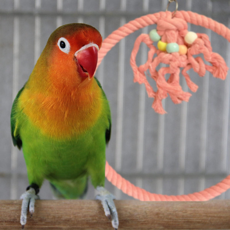 SIMENA Cotton Rope Hanging Swing Parrot Toy Large 9.5" Multicolor - BeesActive Australia