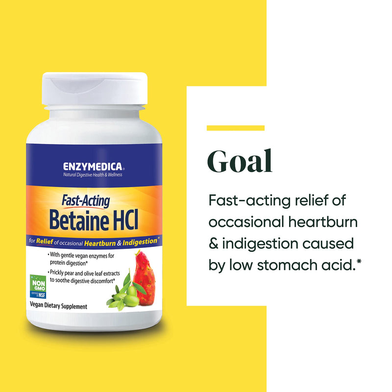 ENZYMEDICA - Betaine HCI (120 Capsules) | Digestive Support Enzyme Supplement | Acid Active Protease Digestive Enzyme Blend for Acid Reflux and Indigestion, Nutrient Supplements, Gut Health Supplement 120 Count (Pack of 1) - BeesActive Australia