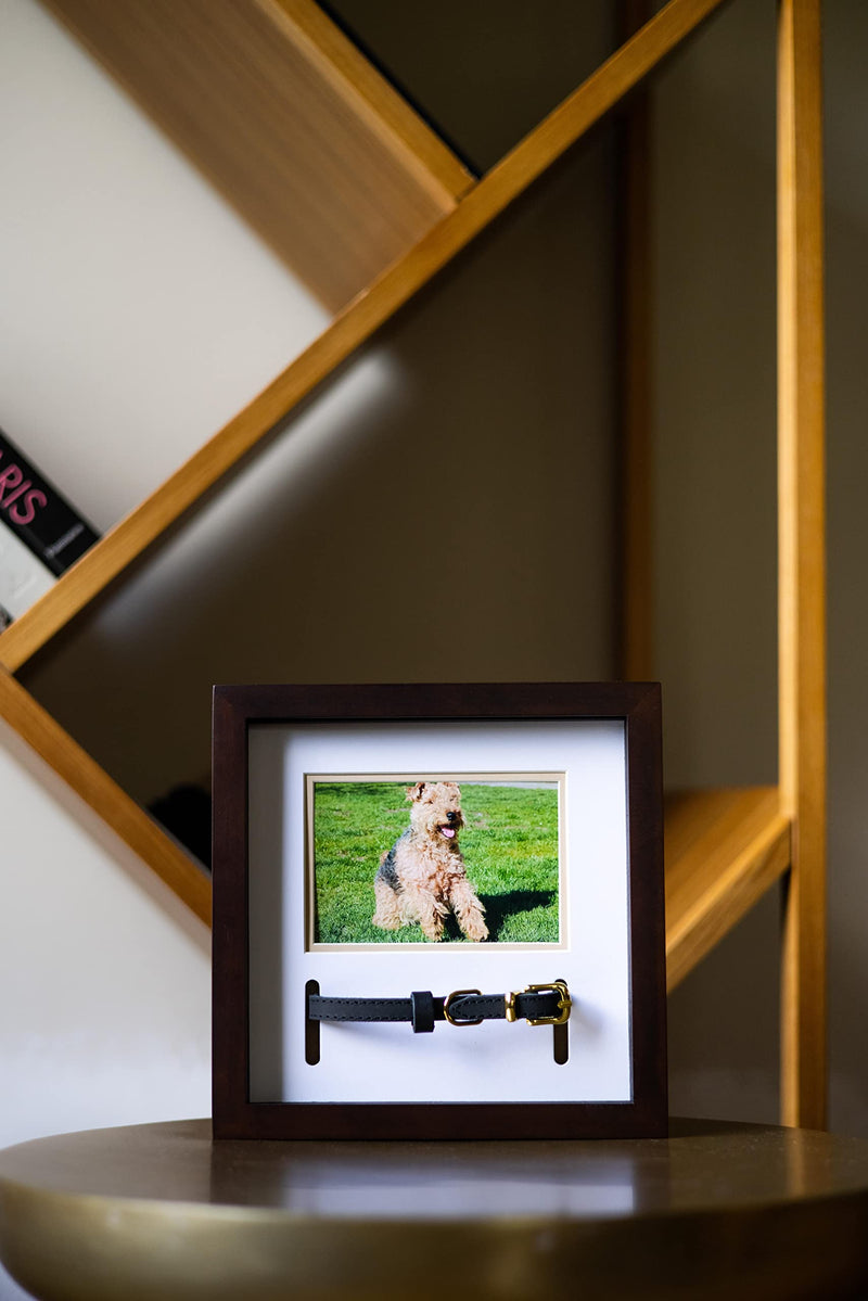 Pearhead Pet Collar Keepsake Picture Frame Espresso Collar Frame - BeesActive Australia