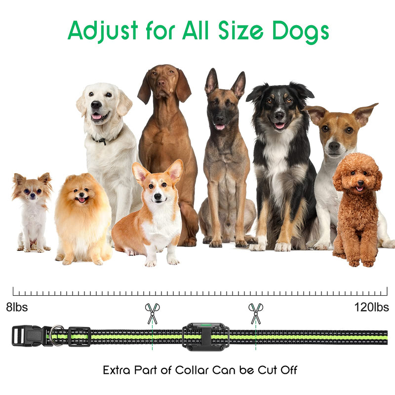 Dog Training Collar with 2600 Ft Remote, Electronic Dog Collar Shock Collar with Beep, Vibration, Shock, Light and Keypad Lock Mode, Waterproof Electric Dog Collar Set for Small Medium Large Dogs Emerald Green - BeesActive Australia