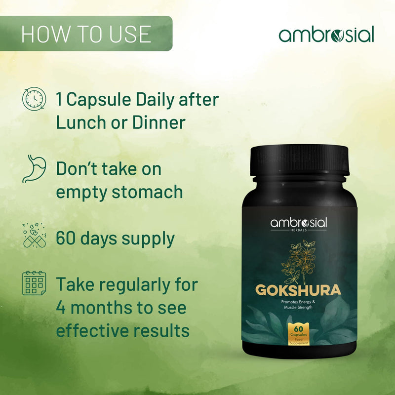 Ambrosial Gokshura Tribulus Terrestris High Strength 500 mg per Capsule | Tribulus Terrestris Extract Capsules for Men & Women | Herbal Supplement for Energy & Immunity (Pack of 1-60 Capsules) 60 count (Pack of 1) - BeesActive Australia