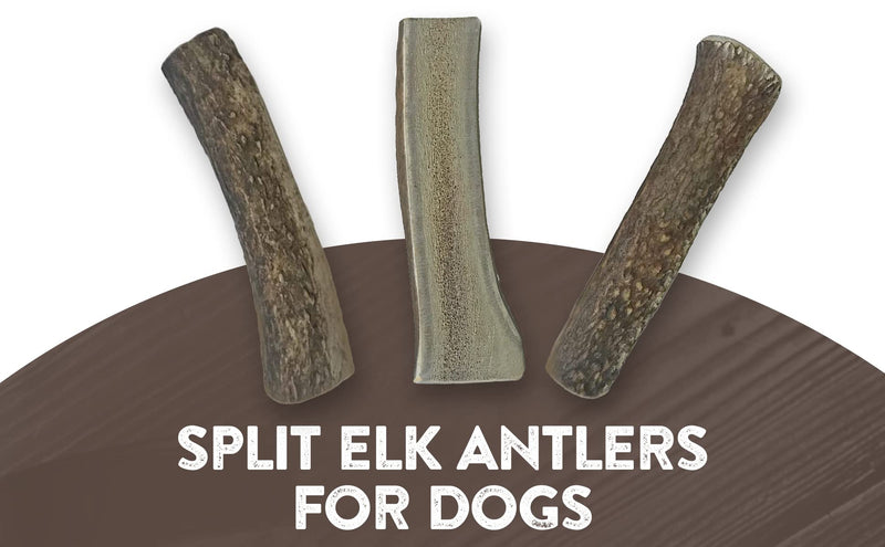 WhiteTail Naturals Premium Split Elk Antlers for Dogs | All Natural Dog Chews | Naturally Shed, Antler Bone Half-Cut Small (Pack of 3) - BeesActive Australia