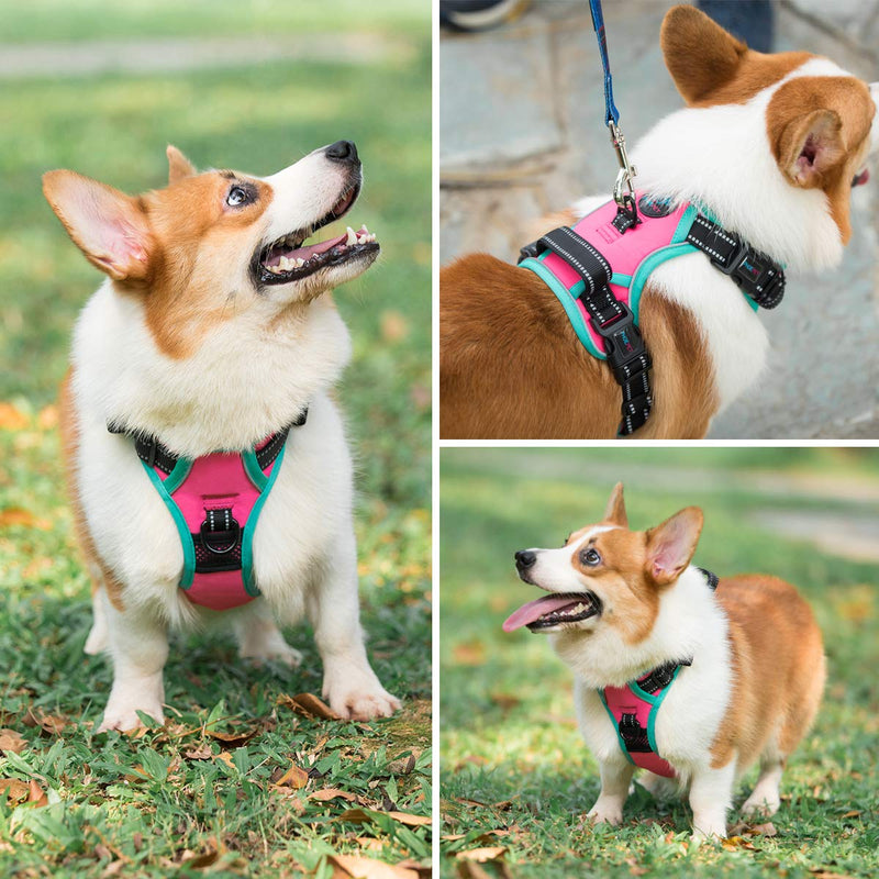 PHOEPET Upgraded No Pull Dog Harness, Reflective Adjustable Vest, with a Training Handle + 2 Metal Leash Hooks+ 3 Snap Buckles +4 Slide Buckles Pink Size: L - BeesActive Australia