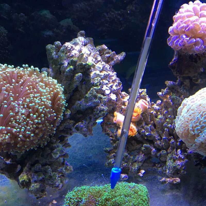 POPETPOP Coral Feeder SPS HPS Feeder- Long Syringe Tube Liquid Fertilizer Feeder SPS HPS Marine Reef Coral Feeder Tool Fish Excreta Cleaner - BeesActive Australia
