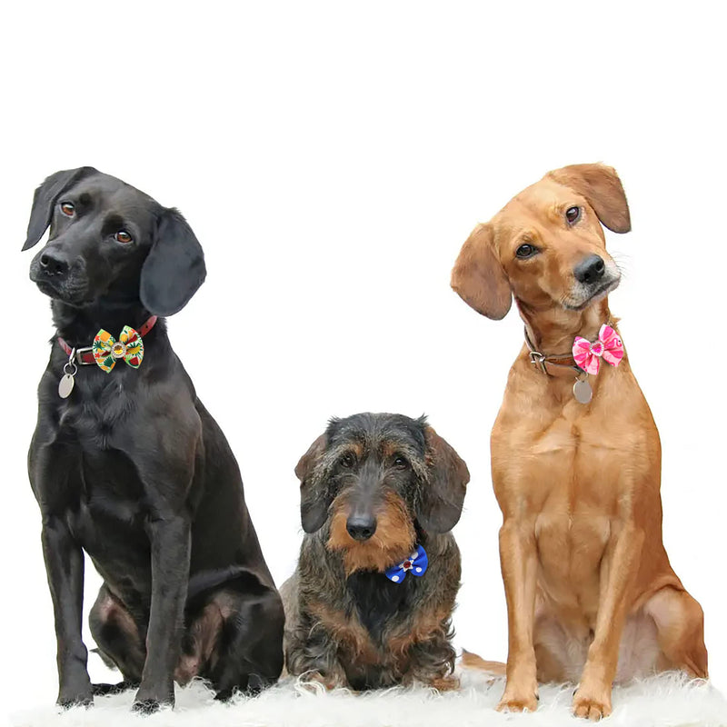Petbuy 40PCS (20 Paris) Dog Bows Cute Puppy Dog Small Bowknot Hair Bows with Rubber Bands Small Dog Hair Bowknot Pet Hair Accessories Pet Grooming Accessories for Party Christmas Birthday - BeesActive Australia