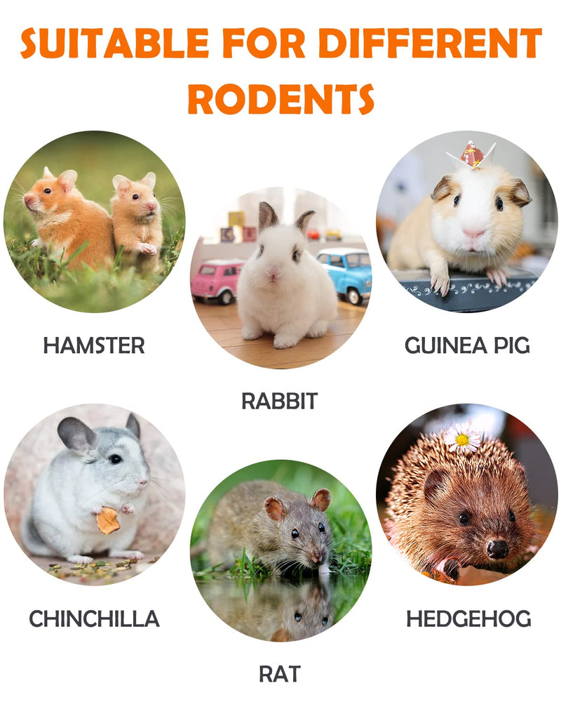 Sofier Timothy Hay Treats Rabbit Toys Bunny Toys Guinea Pig Toys Natural Chews for Teeth Handmade Rabbit Chews and Treats Chinchilla Rat Hamster Gerbil 1 Count (Pack of 12) - BeesActive Australia