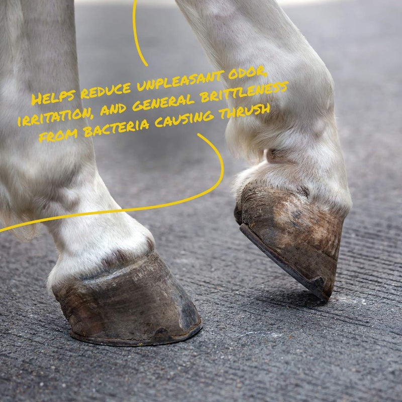 [AUSTRALIA] - Corona Thrush + Shield Spray | Non-Caustic, Non-Staining Thrush Care for Horses | 8 Fluid Ounces 