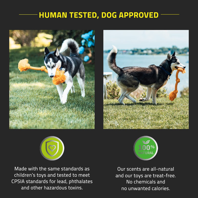 Playology Dri-Tech Ring Dog Toy - Engaging All-Natural Scented Dog Toys for Small, Medium & Large Dogs - Interactive & Tough Non-Toxic Chew Toys for Teething Large Rope Cheddar Cheese - BeesActive Australia