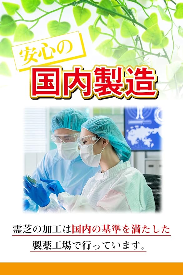 Nippon Chemist Reishi Renewal Version 100 tablets 93% raw materials supplement Contains beta glucan - BeesActive Australia