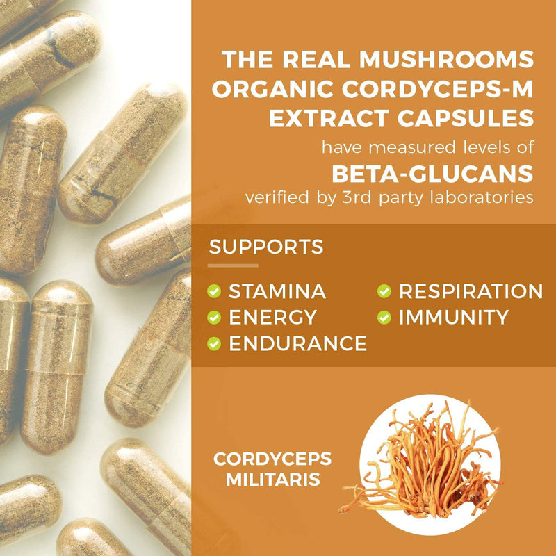 Real Mushrooms Cordyceps for Humans (120ct) and Lions Mane for Pets (120ct) - Bundle for Energy, Vitality & Cognition - Vegan, Non-GMO, Gluten-Free, Grain-Free Mushroom Extract Supplements - BeesActive Australia