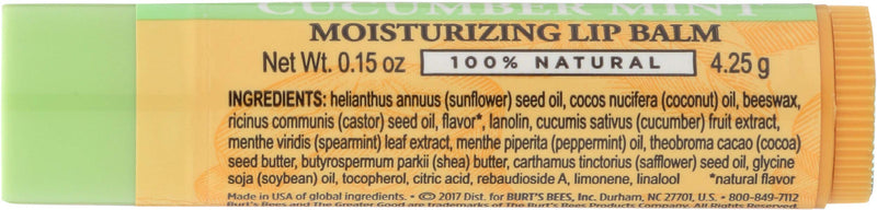 Burts Bees Cucumber Mint Moisturizing Lip Balm for Women, Orange, 0.15 Oz - BeesActive Australia