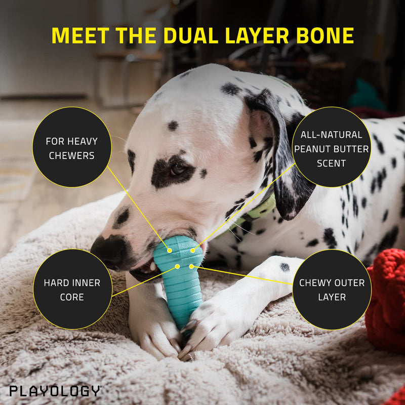 Playology Dual Layer Dog Toy - Engaging All-Natural Scented Dog Toys for Small, Medium & Large Dogs - Interactive & Tough Non-Toxic Chew Toys for Teething Large Bone Peanut Butter - BeesActive Australia