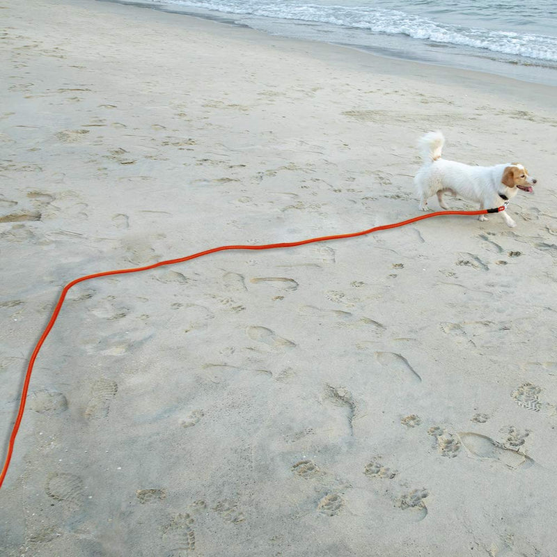Vivifying Dog Check Cord, 32FT/10M Floatable Long Dog Training Rope for Beach, Lake Orange - BeesActive Australia
