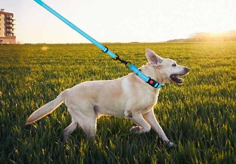 Martingale Dog Collar and Leash Set Martingale Collars for Dogs Reflective Martingale Collar for Small Medium Large Dogs Sky Blue - BeesActive Australia