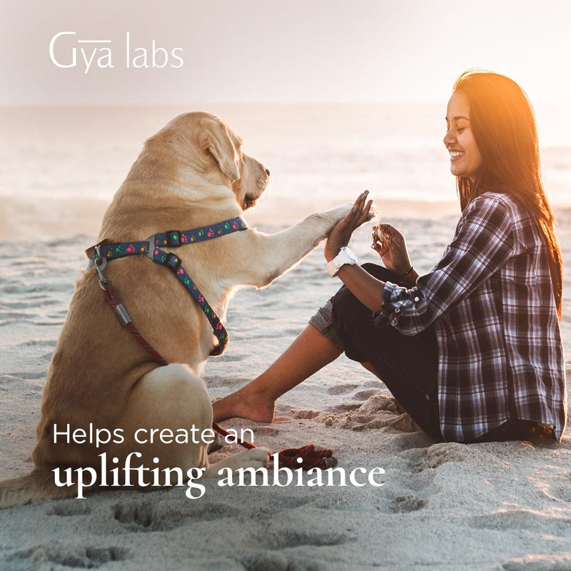 Gya Labs Lemongrass Spray for Outdoor Protection and Mood Balance - Body Mist for Sensitive Skin - Face Mist Spray to Uplift Mood - 100 Unrefined Essential Oil Spray for Skin Care - 100 ml Lemongrass (Hydrosol) - BeesActive Australia