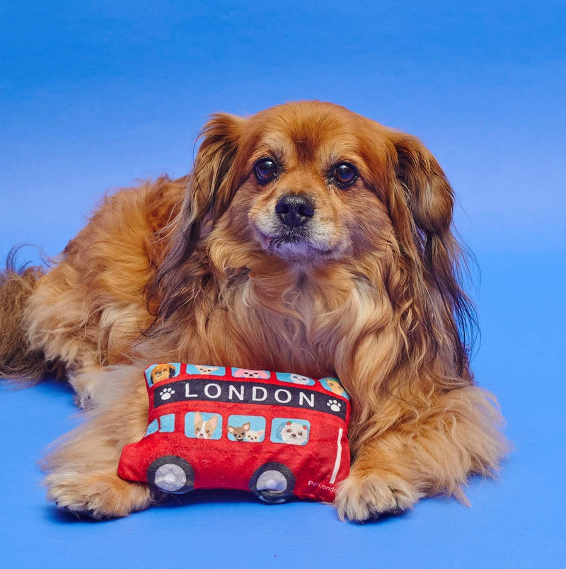 PetLondon Graphical London Red Bus Dog Toy - Fun Printed London Routemaster British Red Soft Plush Toy - 7" - BeesActive Australia