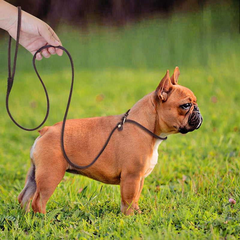 Real Leather Slip Dog Leash for Small Medium Large Dogs Puppies Lightweight Thin but Sturdy Adjustable Slip Lead Dog Leash Soft and Slim 5 ft x 1/5 inch Small( 5 ft x 1/5 inch) - BeesActive Australia
