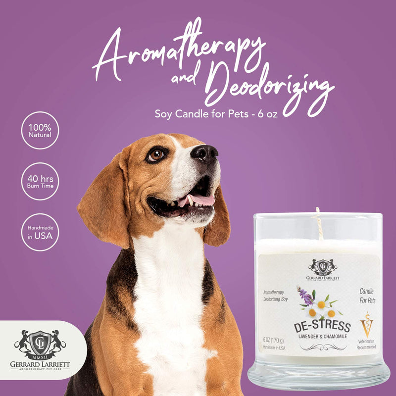 Lavender & Chamomile Aromatherapy Deodorizing Soy Candle for Pets, Pet Odor Eliminator & Animal Lover Gift - 6 OZ (170 g) Lavender & Chamomile - BeesActive Australia