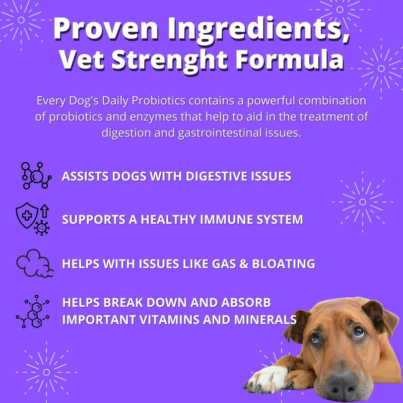 Probiotics for Dogs - Relief Diarrhea, Gas, Bloating, Constipation, Upset Stomach - Digestive Health Support - Soft Chews for Dog & Puppies - BeesActive Australia