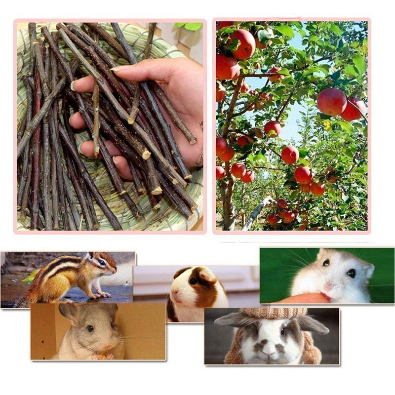TAI JI Apple Sticks 1.1Pound(500g) Small Animals Chew Toys for Chinchillas Guinea Pigs Rabbits Hamsters Squirrels 1 Count (Pack of 1) - BeesActive Australia