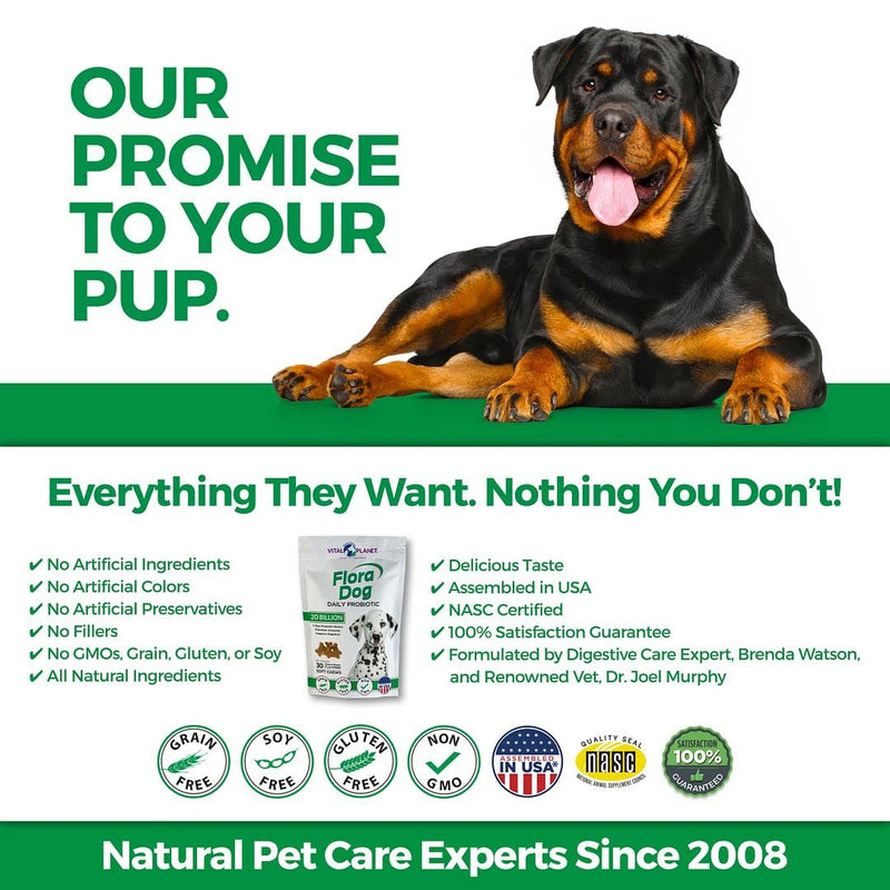 Vital Planet - Flora Dog Soft Chews Probiotic Supplement with 20 Billion Cultures and 11 Strains, Immune and Digestive Support Chewable Probiotics for Dogs, 30 Natural Bacon Flavored Soft Chews - BeesActive Australia