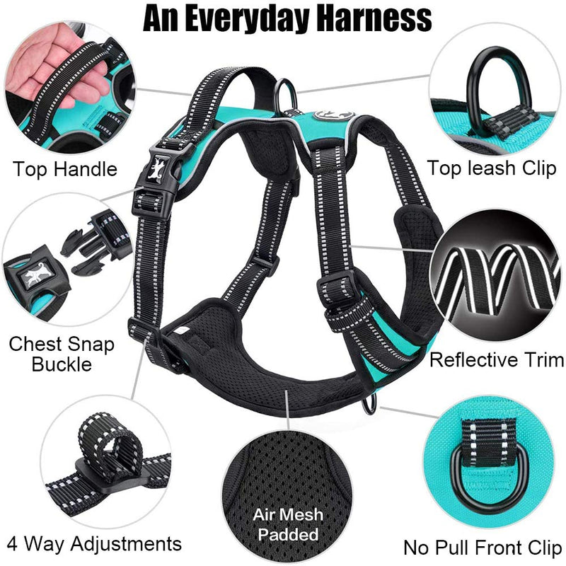 PoyPet No Pull Dog Harness, Reflective Vest Harness with 2 Leash Attachments and Easy Control Handle for Small Medium Large Dog Mint Blue - BeesActive Australia