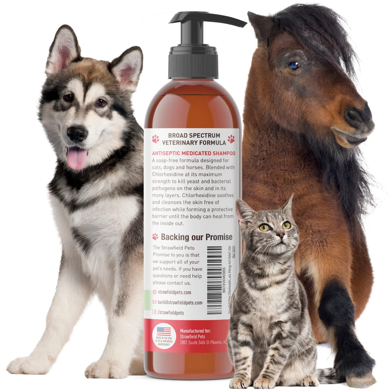 Strawfield Pets Chlorhexidine Shampoo for Dogs, Cats - 16 oz - Medicated Cat Dog Shampoo, Pet Wash for Dry Itchy Skin, Hot Spot Treatment, Mange, Odor, Yeast, Allergy Itch Relief, USA - BeesActive Australia