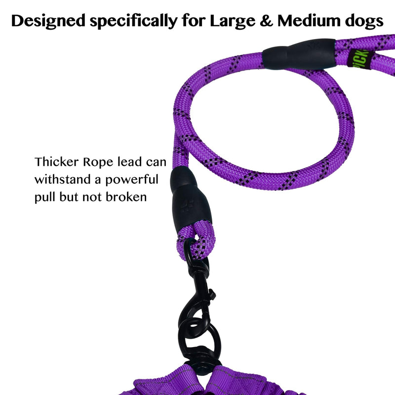 U-pick Dual Dog Leash, Double Dog Leash, 360 Swivel No Tangle Double Dog Walking Training Leash, Comfortable Shock Absorbing Reflective Bungee for Two Dogs, Black, Medium Large Purple - BeesActive Australia