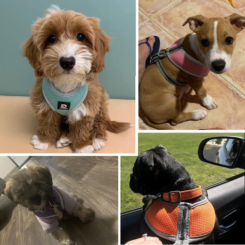 Puppy Harness and Leash Set - Dog Vest Harness for Small Dogs Medium Dogs- Adjustable Reflective Step in Harness for Dogs - Soft Mesh Comfort Fit No Pull No Choke XS Black - BeesActive Australia