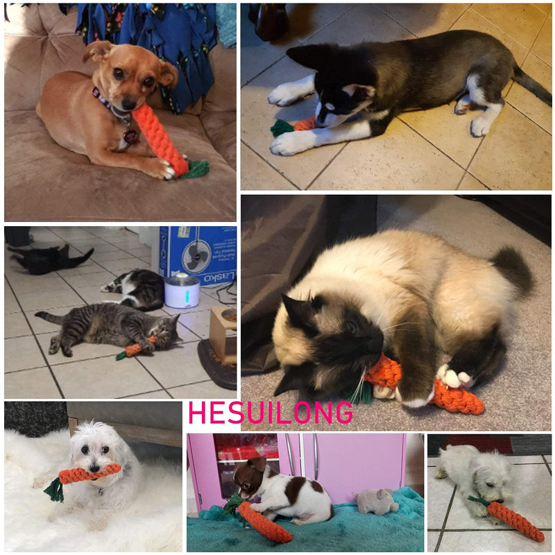Dog Toys 3 Puppy Teething Chew Toys,Dog Chew Toys Rope Toys,Cat Chew Toys,Safe Braided Rabbit Toys Healthy Gift carrots - BeesActive Australia