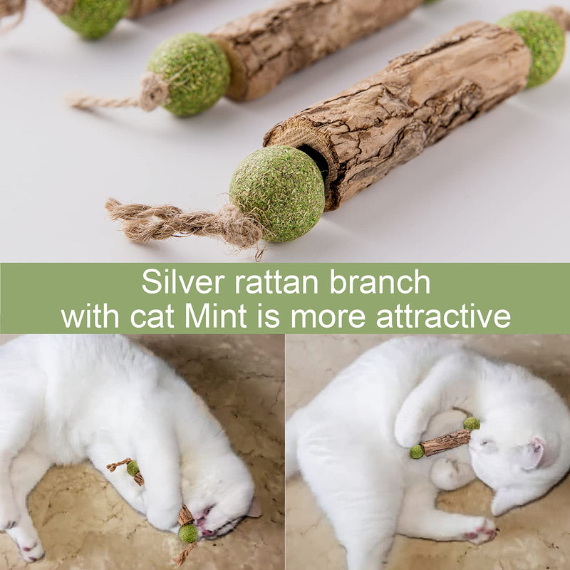 MiMiMoMo Catnip Toys for Cats Silvervine Sticks for Cats Interactive Cat Toys for Indoor Cats,Cat Kitten Teething Chew Toys for Aggressive Chewers,Suitable for All Cats,3Packs - BeesActive Australia