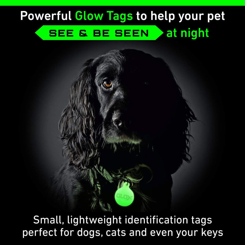 GLO-X Dog Glow Tag - Glow in The Dark Cat Tags to Keep Your Pets Safe at Night - 12+ Hours Glow Time - Charges in Daylight - No Batteries Required 1.38” x 1.10” Diameter - BeesActive Australia