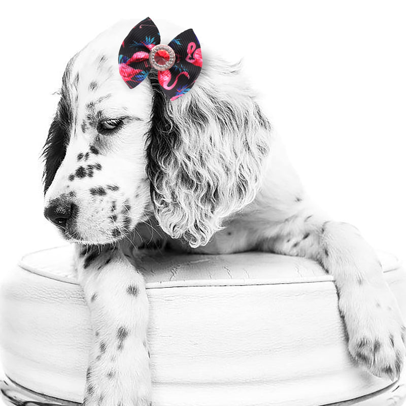 Petbuy 40PCS (20 Paris) Dog Bows Cute Puppy Dog Small Bowknot Hair Bows with Rubber Bands Small Dog Hair Bowknot Pet Hair Accessories Pet Grooming Accessories for Party Christmas Birthday - BeesActive Australia